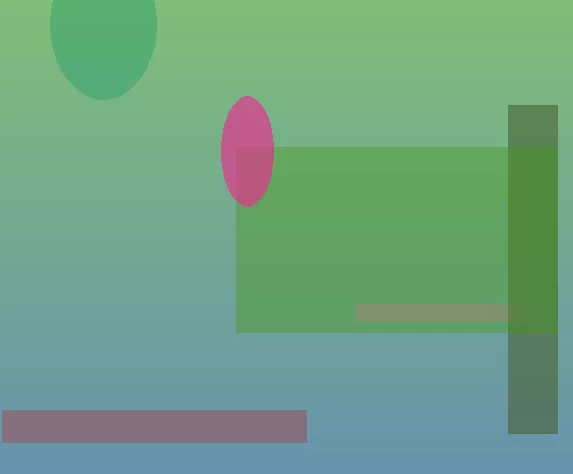 星空体育app