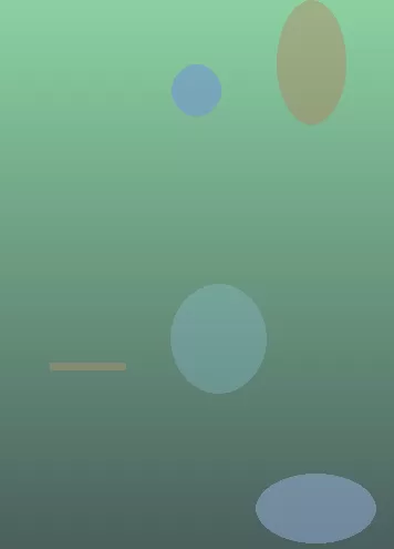星空体育app下载