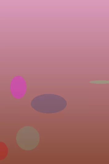 星空体育