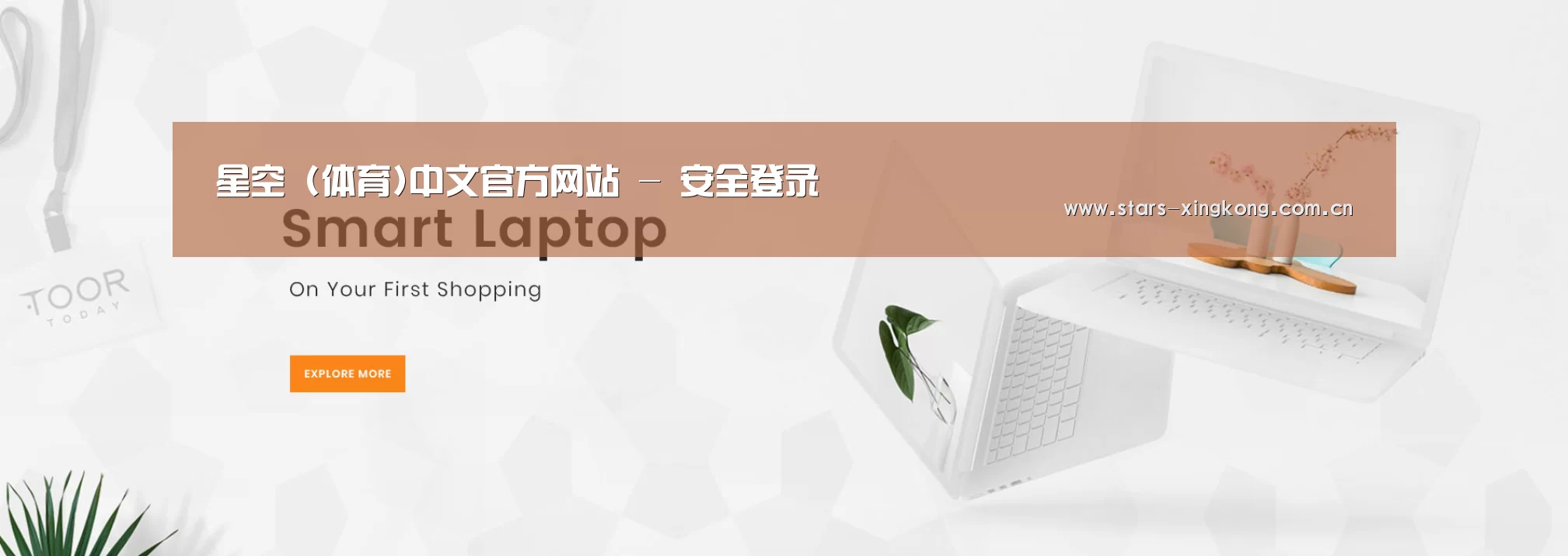 某某网络科技有限公司