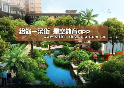 星空体育app
