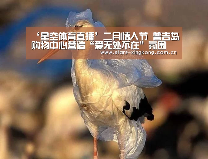 星空体育