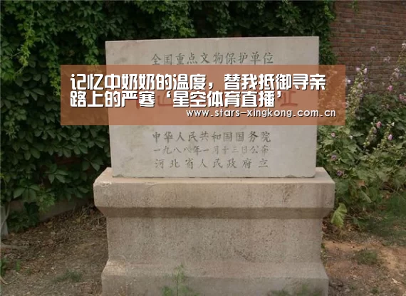 记忆中奶奶的温度,替我抵御寻亲路上的严寒‘星空体育直播’(图2) 星空体育app