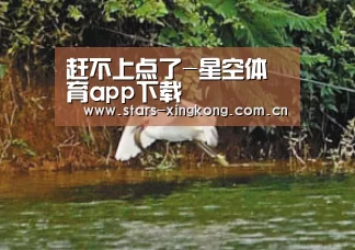 赶不上点了-星空体育app下载(图1) 星空体育app