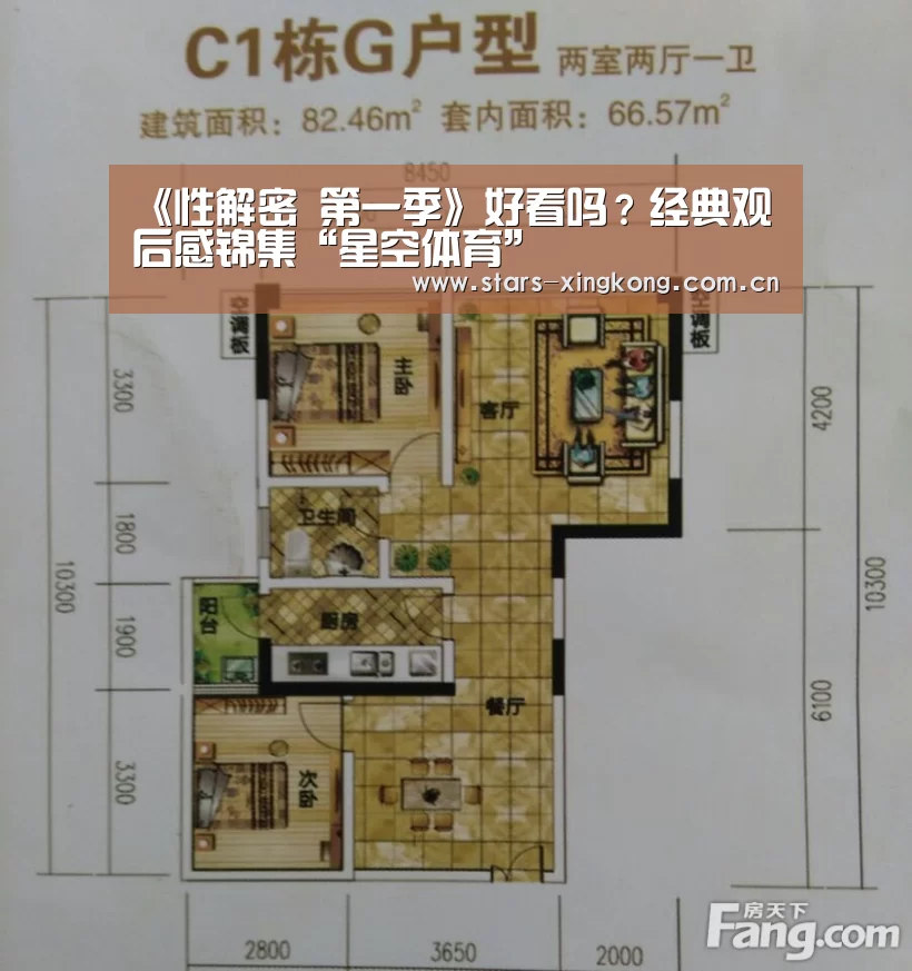 星空体育app