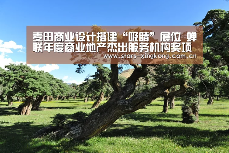 星空体育app下载