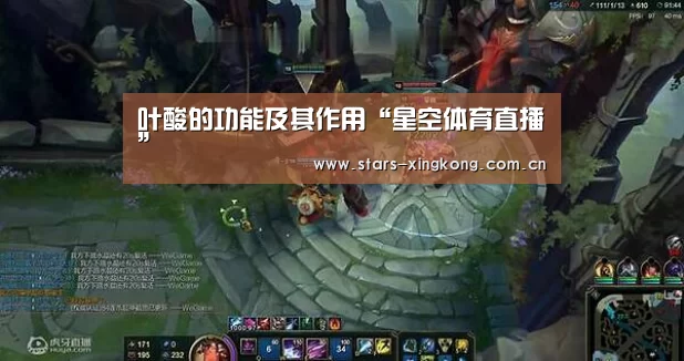 叶酸的功能及其作用“星空体育直播”(图1) 星空体育app