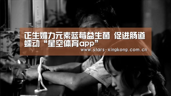 星空体育app
