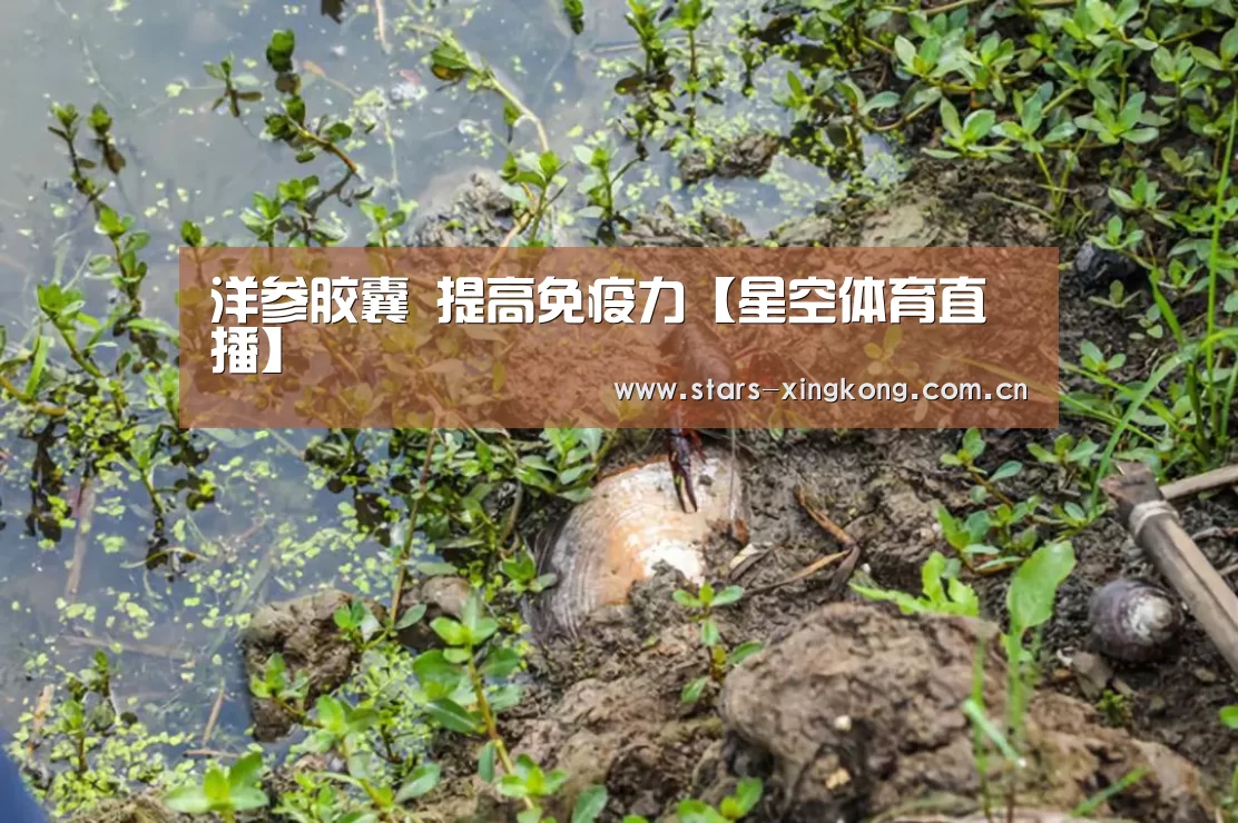 星空体育app下载