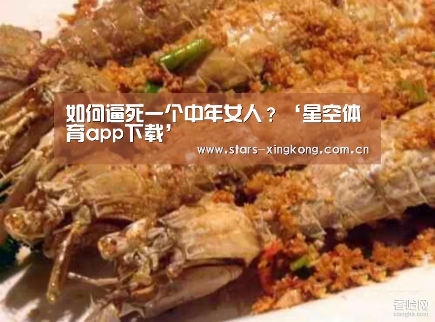 星空体育app